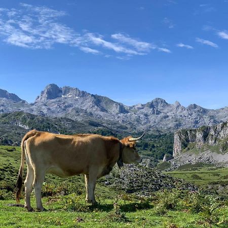 Telena Daire Onís Dış mekan fotoğraf